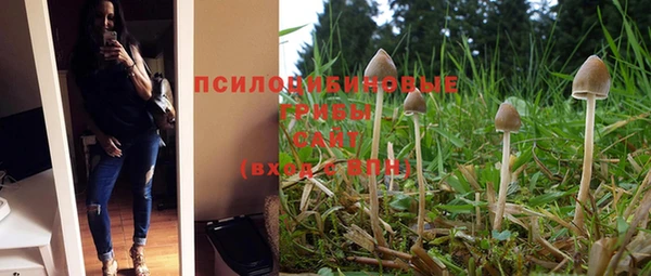 бутират Верхний Тагил
