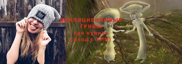 дживик Верея