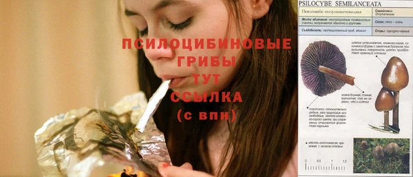 бутират Верхний Тагил