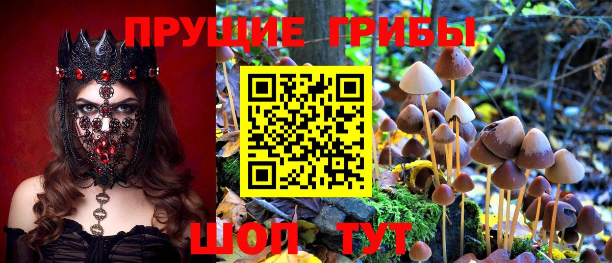 Бузулук  Галлюциногенные грибы MAGIC MUSHROOMS  Вход с VPN  цена   Псилоцибиновые грибы MAGIC MUSHROOMS 