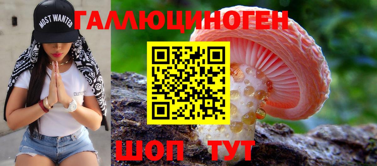 Псилоцибиновые грибы Cubensis  Бузулук 