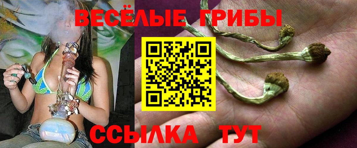 Галлюциногенные грибы GOLDEN TEACHER Бузулук
