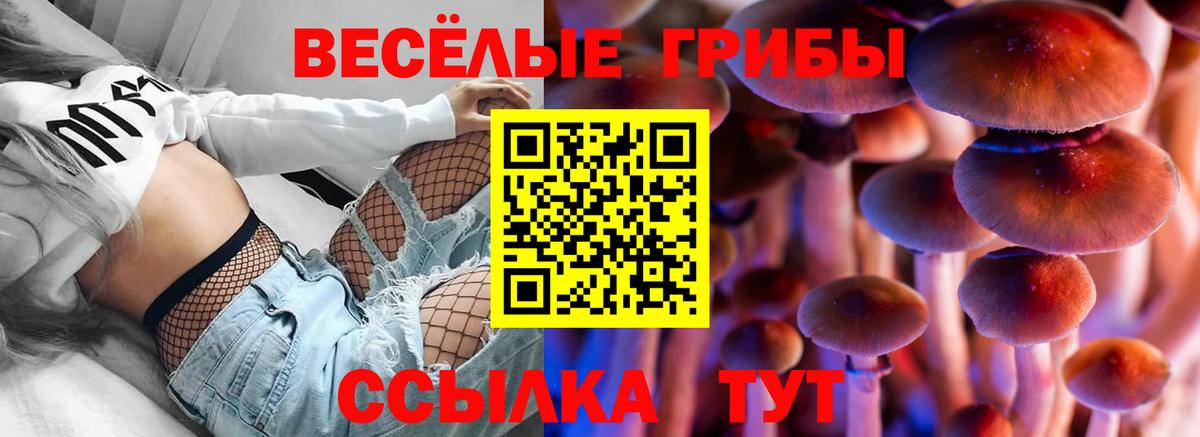 Alpha-PVP СК   НБОМе  Меф МЯУ МЯУ кристаллы  Каннабис  Cocaine  Вход с VPN  Бузулук  ГАШ  МЕФ 