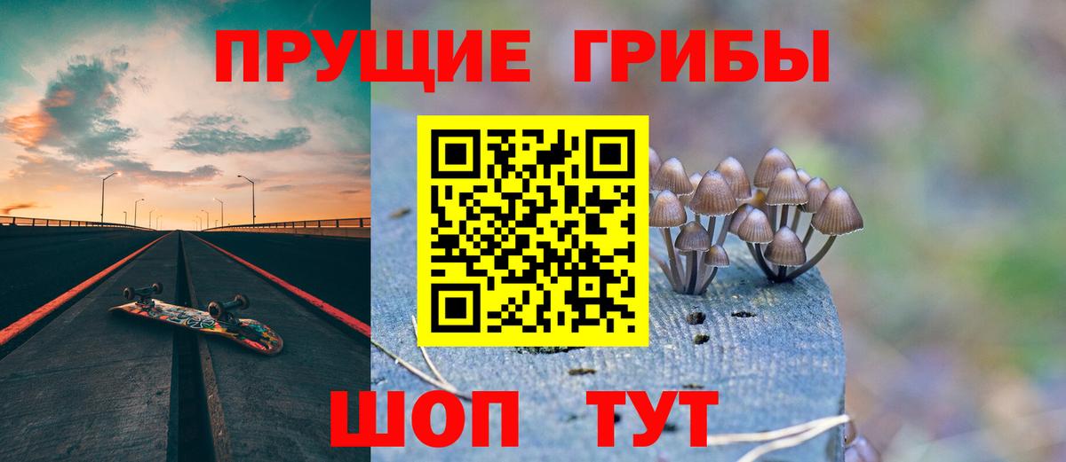 Псилоцибиновые грибы Cubensis Бузулук